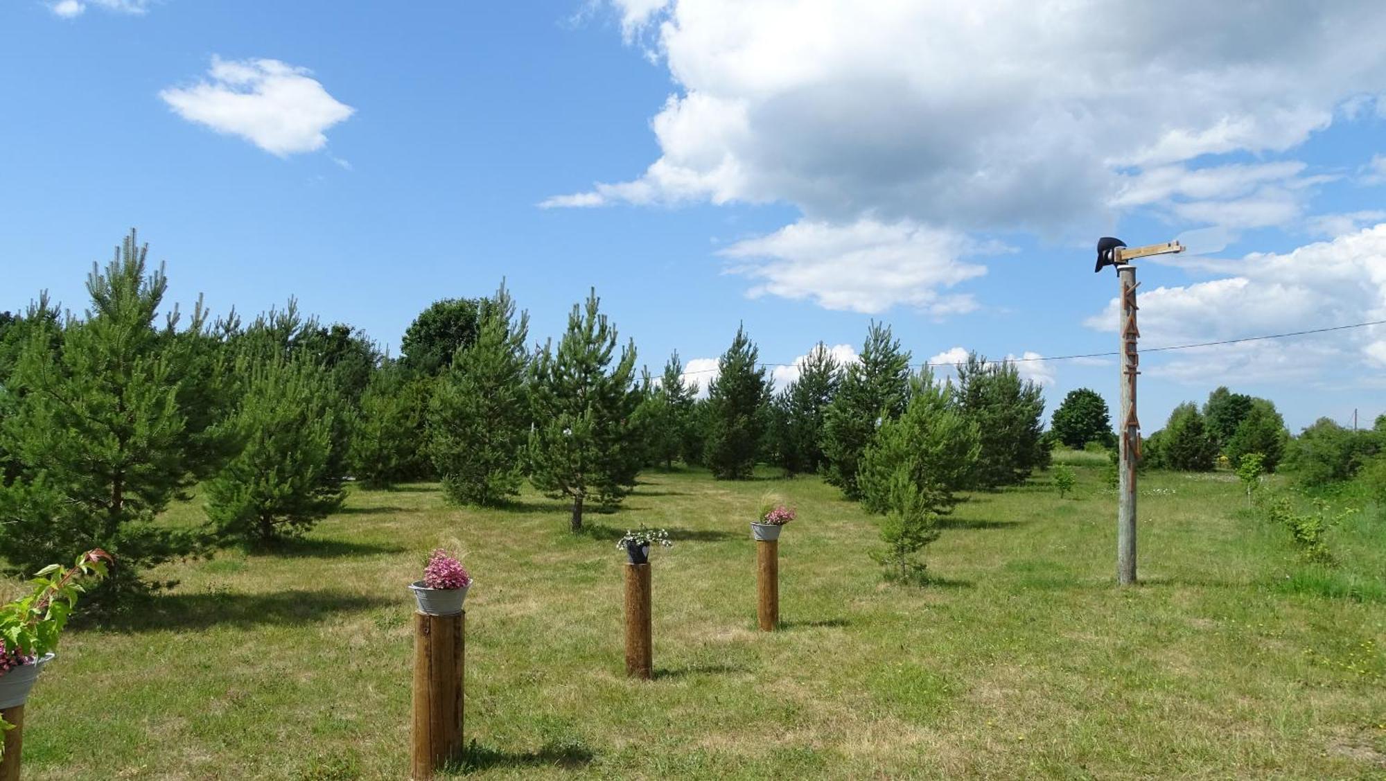 Kastani Camping Hapsal Exteriör bild